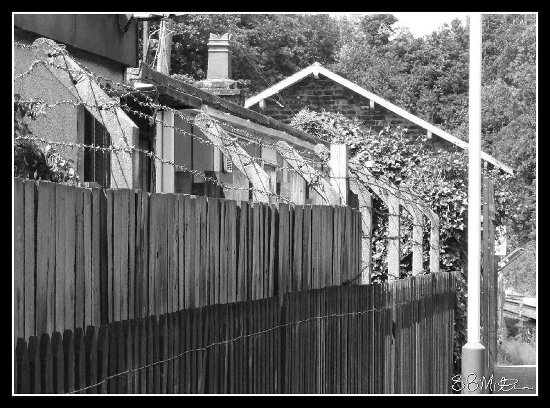 Honley Station: Photograph by Steve Milner